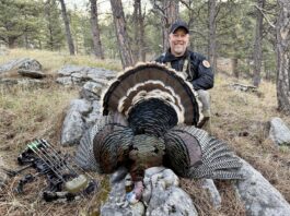 Iron Will Turkey Broadhead Review