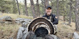 Iron Will Turkey Broadhead Review
