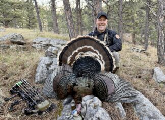 Iron Will Turkey Broadhead Review
