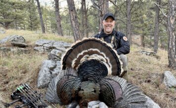 Iron Will Turkey Broadhead Review