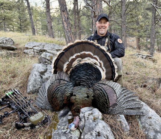 Iron Will Turkey Broadhead Review