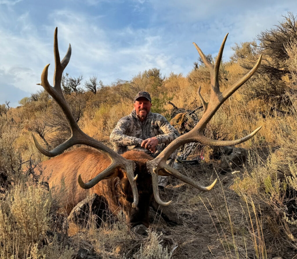 Tony Treitch Bull Photo