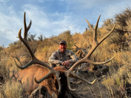 Tony Trietch on Big Mule Deer, Desert Bulls & Western Hunting Evolution Tony Treitch Bull Photo