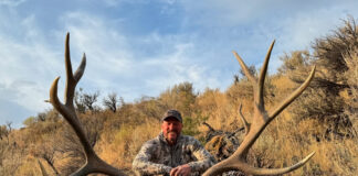 Tony Trietch on Big Mule Deer, Desert Bulls & Western Hunting Evolution Tony Treitch Bull Photo