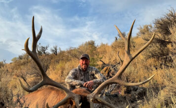 Tony Trietch on Big Mule Deer, Desert Bulls & Western Hunting Evolution Tony Treitch Bull Photo