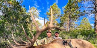 How to Kill Giant Bulls with Ryan Carter Ryan Carter DC Outfitters