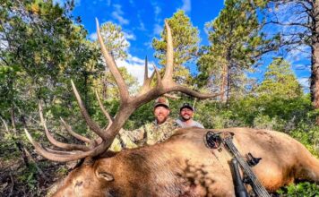 How to Kill Giant Bulls with Ryan Carter Ryan Carter DC Outfitters