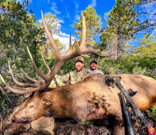 How to Kill Giant Bulls with Ryan Carter Ryan Carter DC Outfitters