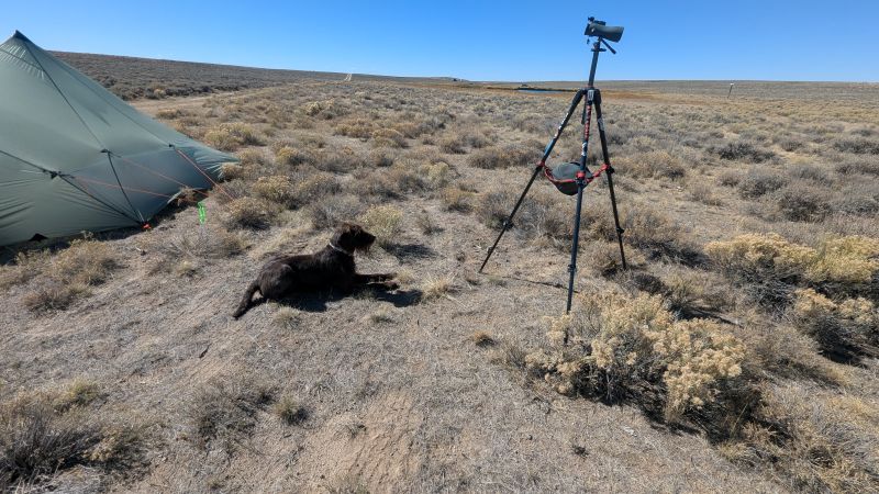 Field Testing Field Testing